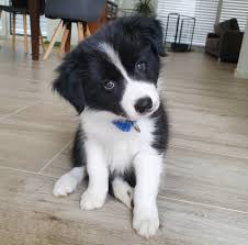 必一·运动「中国」官方网站